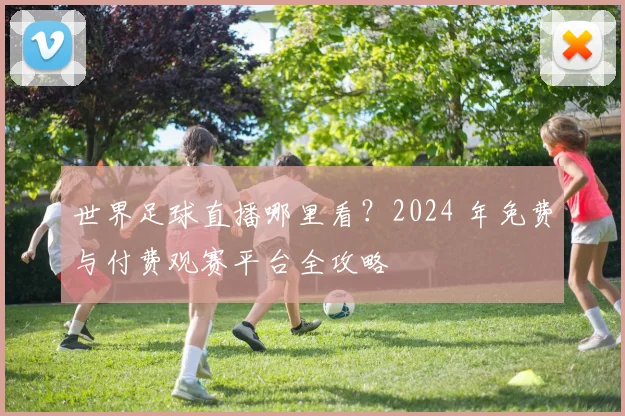 世界足球直播哪里看？2024 年免费与付费观赛平台全攻略